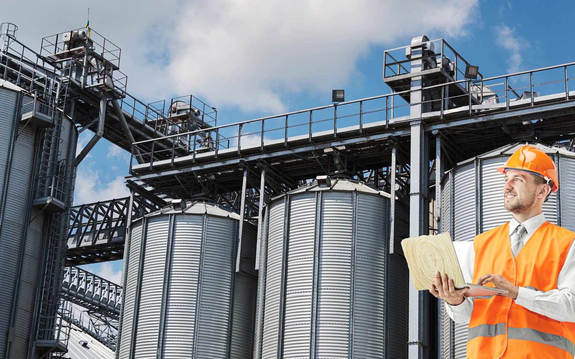 ingeniero para asesoría en seguridad industrial