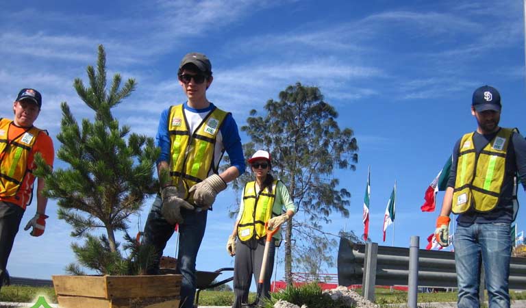 sembrando arboles en monterrey